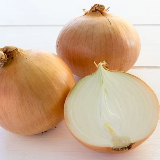 AdobeStock_190983767