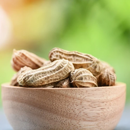 AdobeStock_262427171